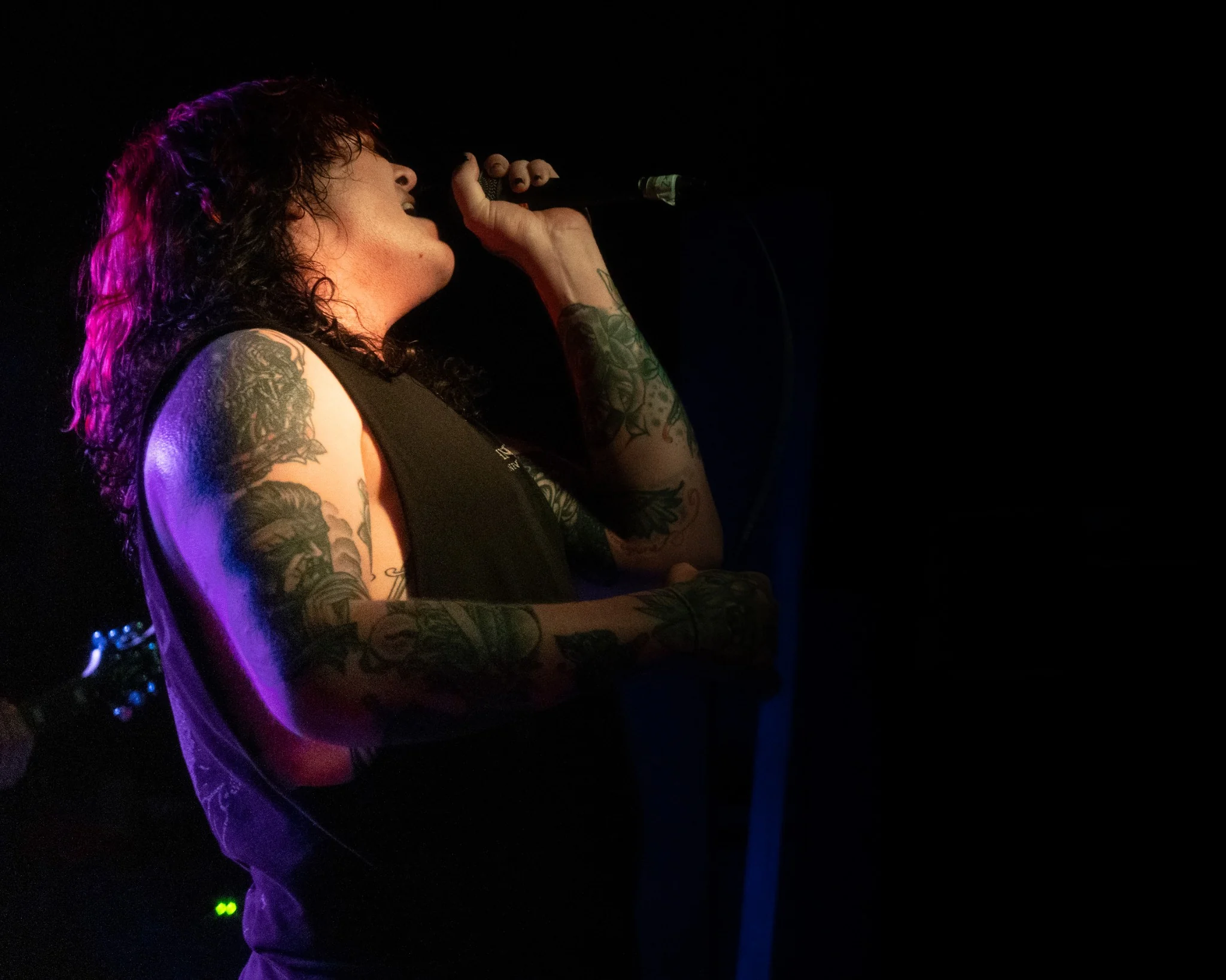Singer performing under purple and warm stage lighting