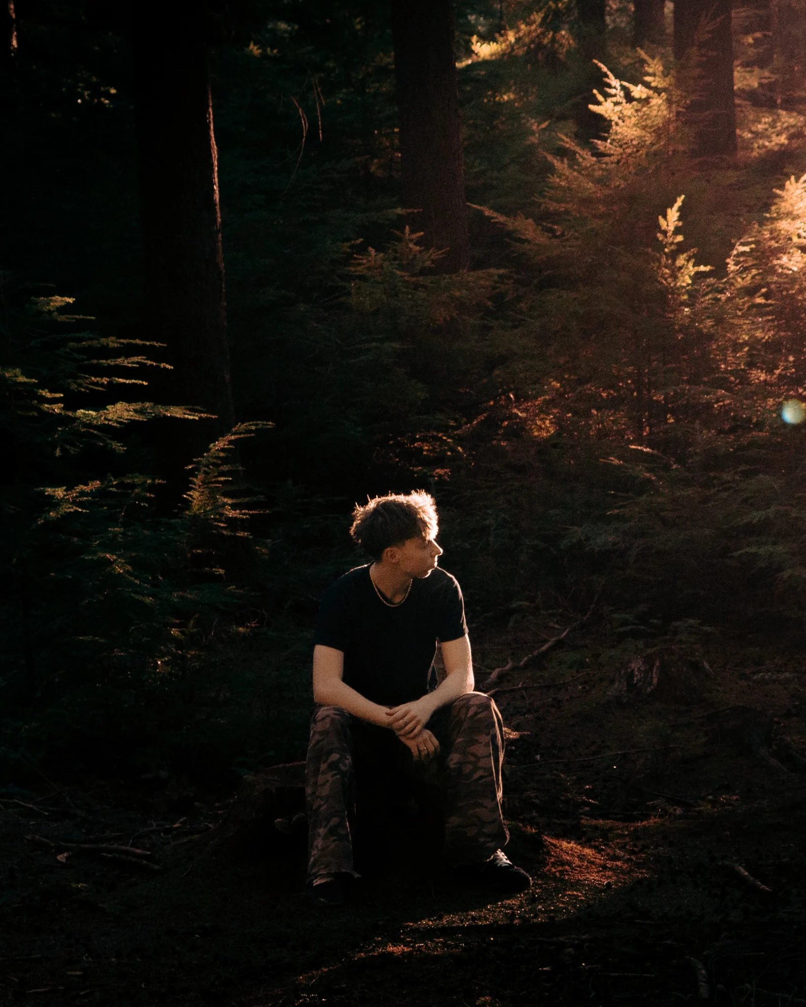 Environmental portrait of a seated person lit by warm forest light